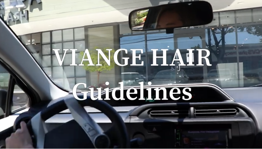 VIANGE_GuideLines