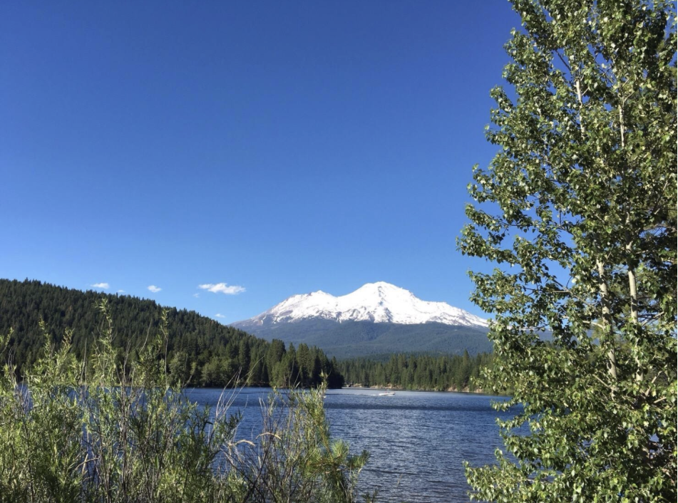 Mount Shasta