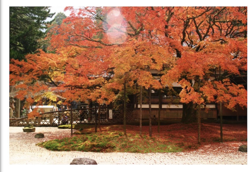 Saga Prefecture