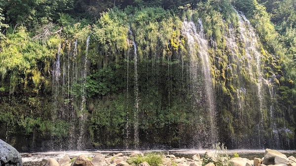 nature