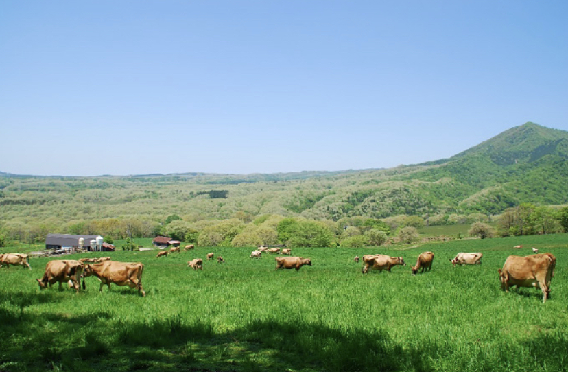 Hiruzen Plateau