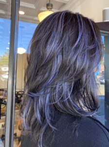 Jay_hair_purple