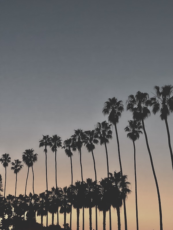 Kylie_endofyear_greetings