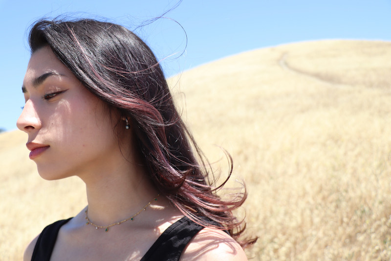 Jay_hair_color